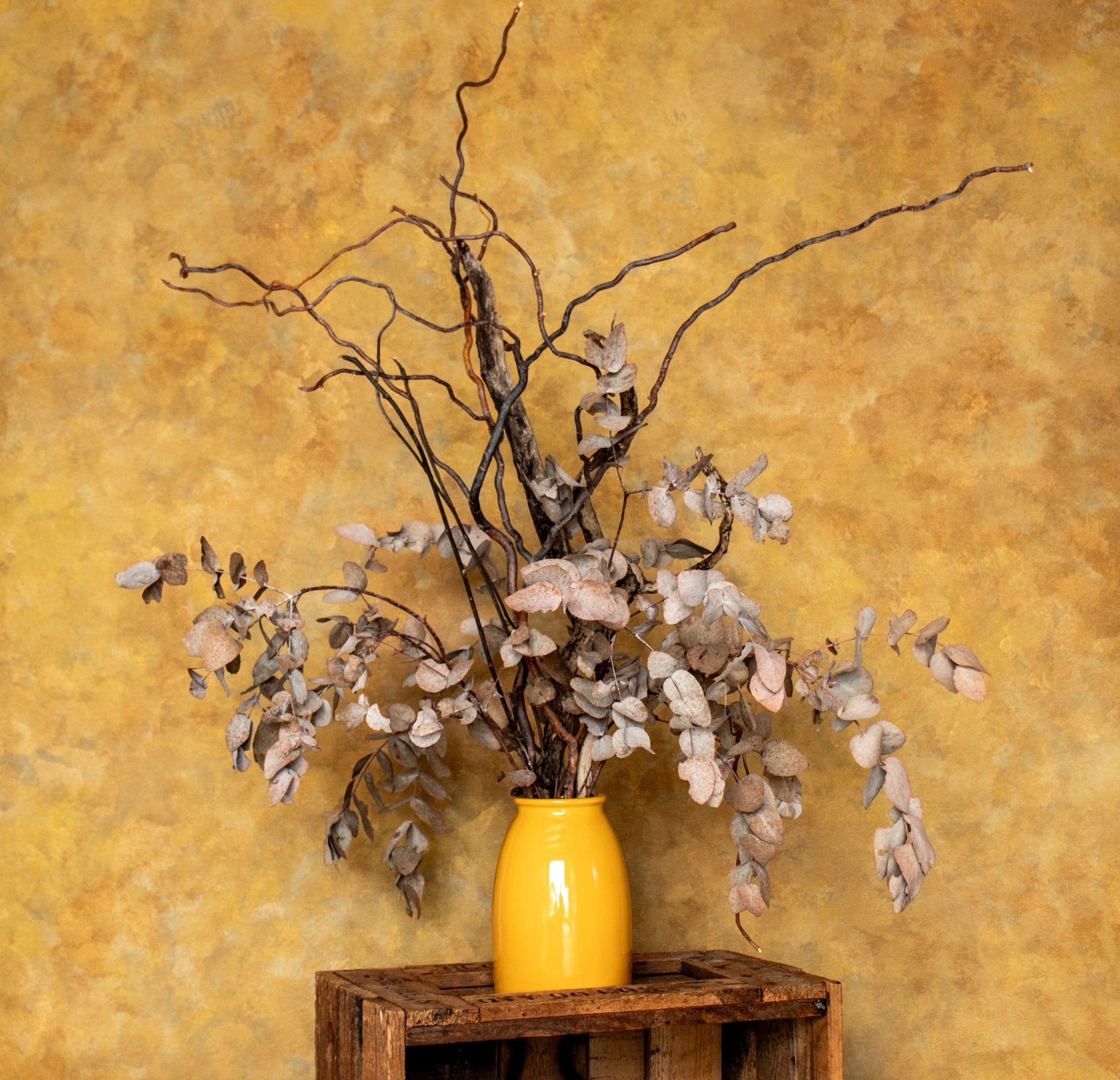 GOLDEN CANOPY - 1.5m by 1.6m