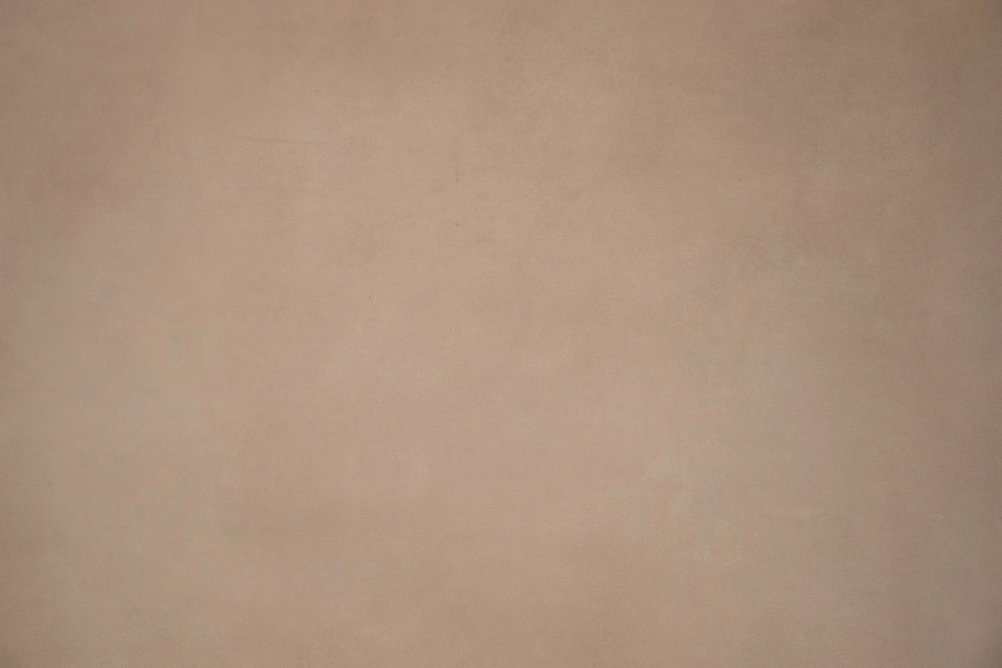 PANCAKE RACE (MODERN MUSE) 1.7M BY 3M