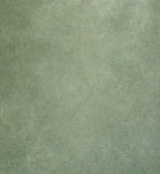 SAGE ADVICE 2m by 3m